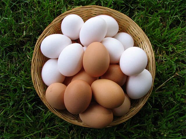 مرغی کے انڈے عضو تناسل کو مضبوط بناتے ہیں اور مردانہ جنسیت کو بڑھاتے ہیں۔
